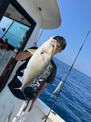 カンパチの釣果