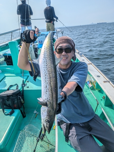 サワラの釣果