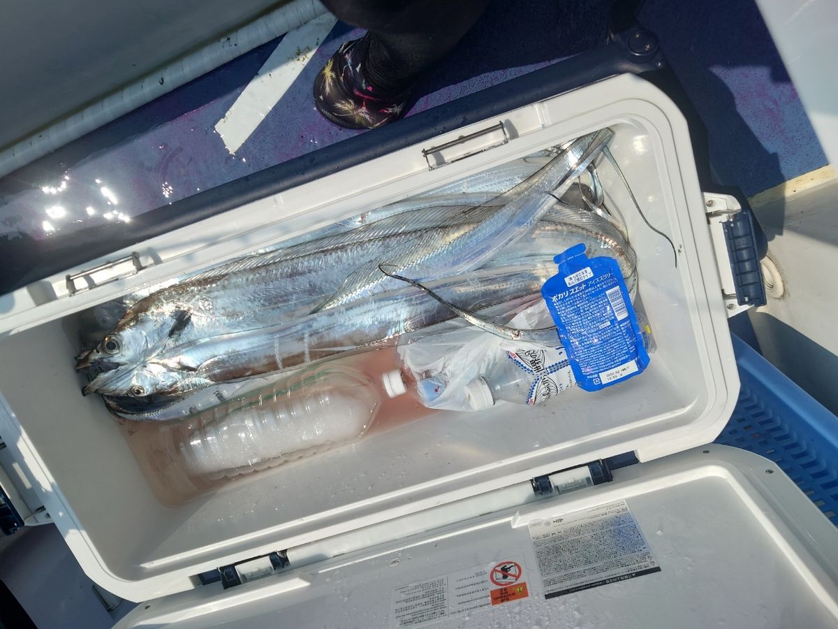 はくさい🎣🐟さんの釣果 3枚目の画像