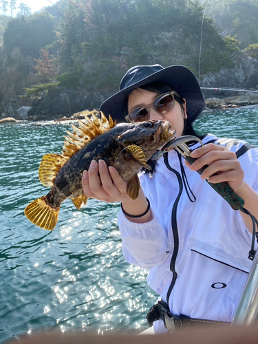 ベッコウゾイの釣果