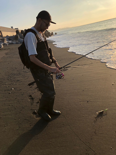 フグの釣果