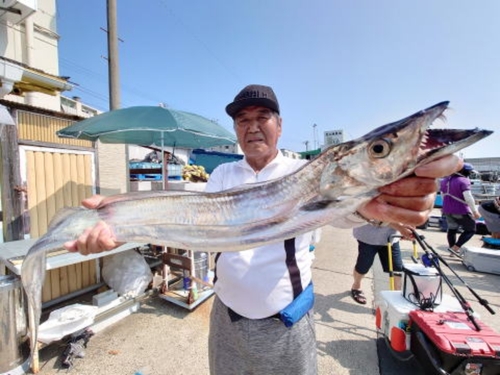 タチウオの釣果