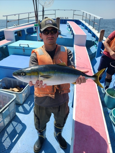 ワラサの釣果