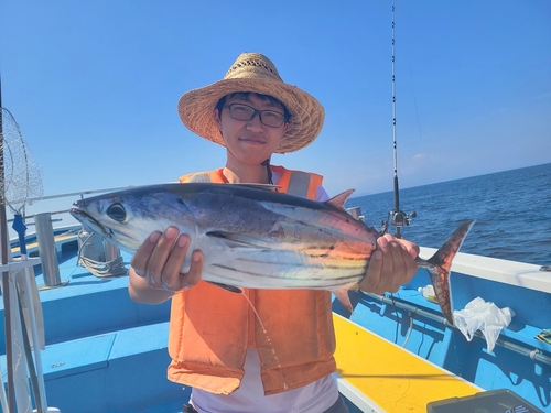 カツオの釣果