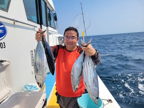 カツオの釣果