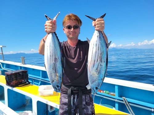 カツオの釣果