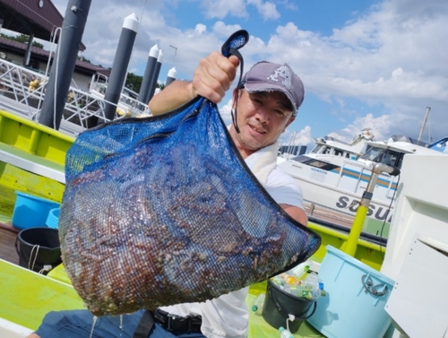 マダコの釣果