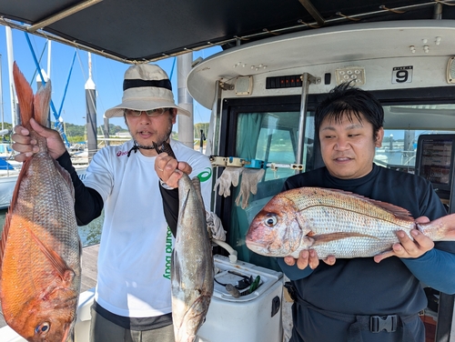 タイの釣果