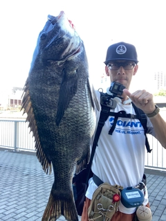 チヌの釣果