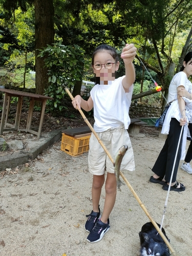 ニジマスの釣果