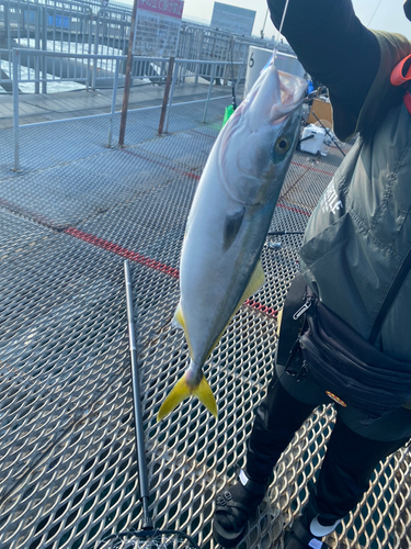 ツバスの釣果