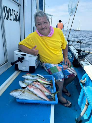 カンパチの釣果