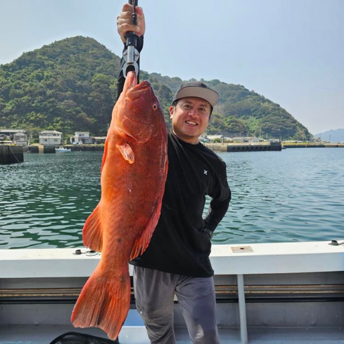 スジアラの釣果