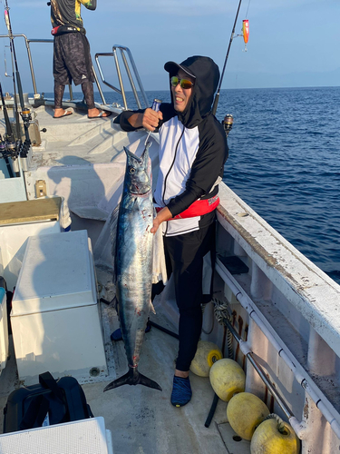 カマスサワラの釣果