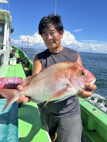 マダイの釣果