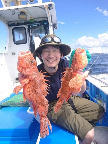 オニカサゴの釣果