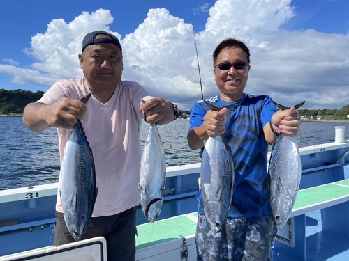 カツオの釣果