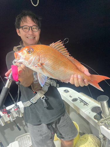 マダイの釣果