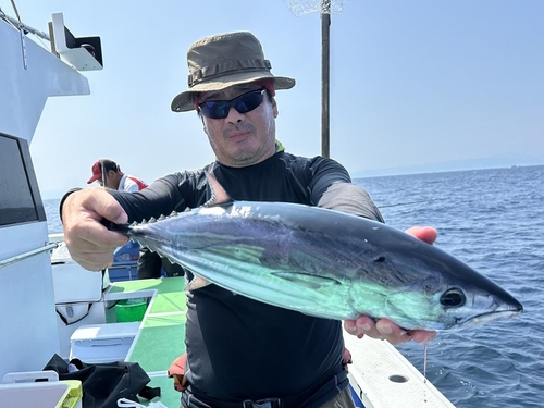 カツオの釣果