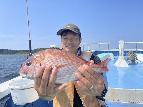 マダイの釣果