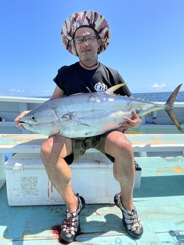 キハダマグロの釣果