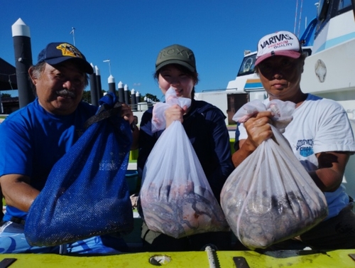 マダコの釣果