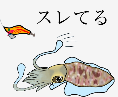 コモンフグの釣果