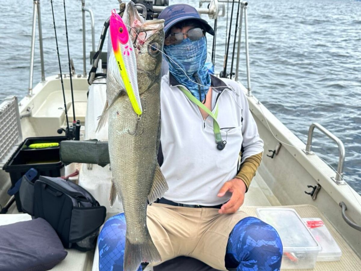 KAZUボート 釣果さんの釣果 3枚目の画像