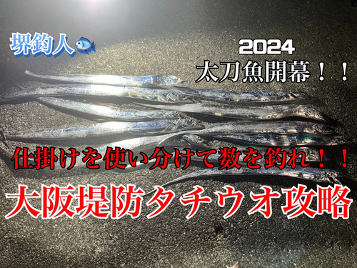 タチウオの釣果