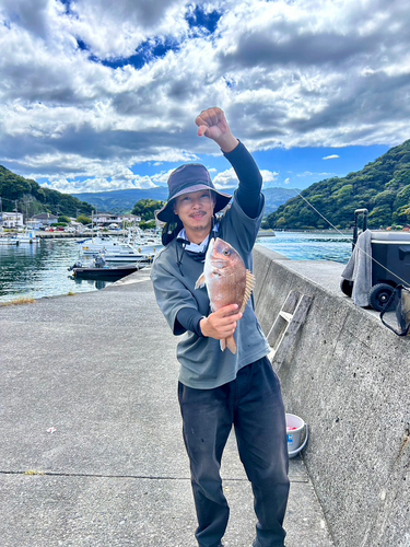 タイの釣果