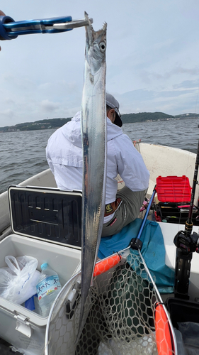 タチウオの釣果