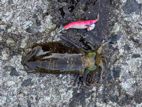 喜木津漁港