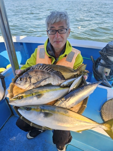 イナダの釣果