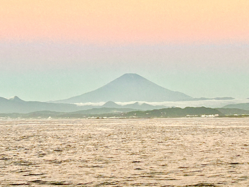 フグの釣果