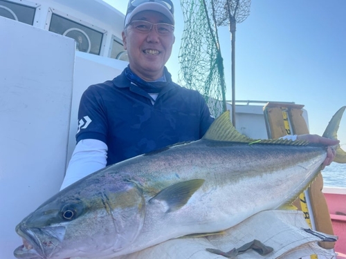 ヒラマサの釣果