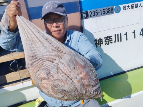 マダコの釣果