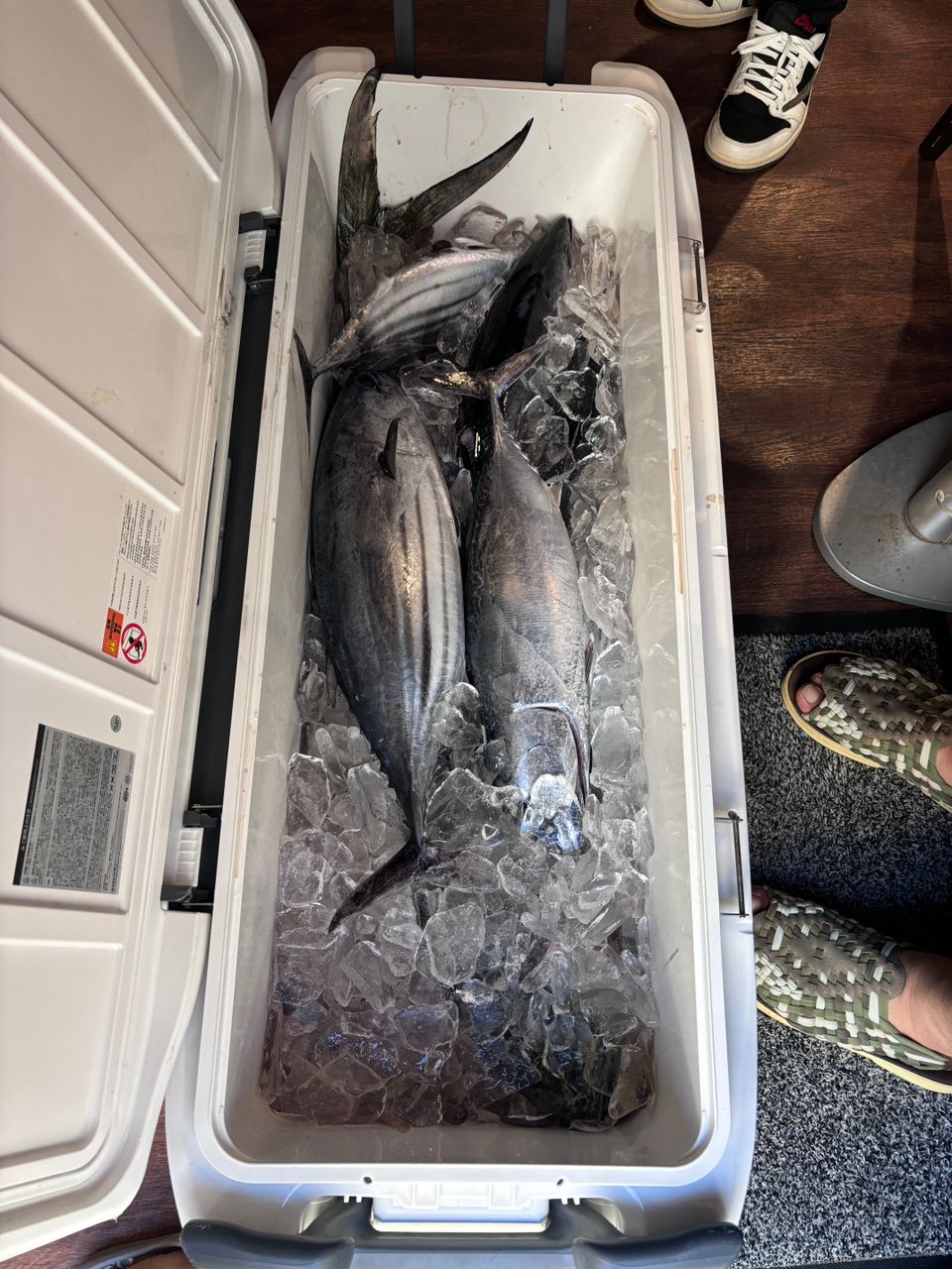 veck&moaさんの釣果 2枚目の画像