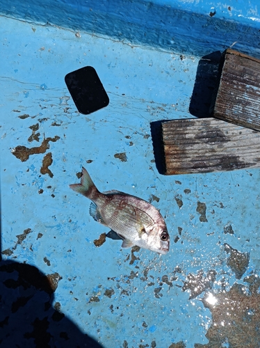 海釣り公園跡地