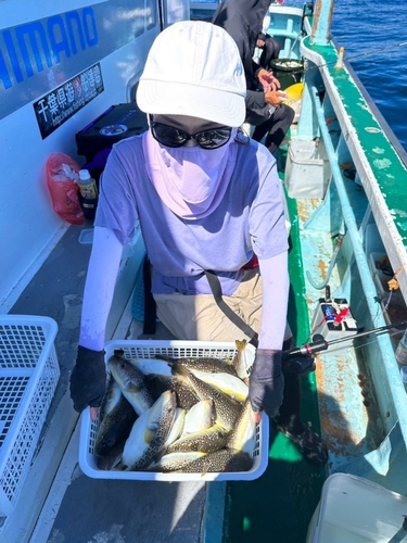 ショウサイフグの釣果