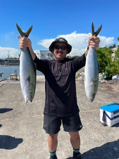 メジロの釣果