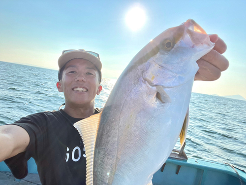 カンパチの釣果