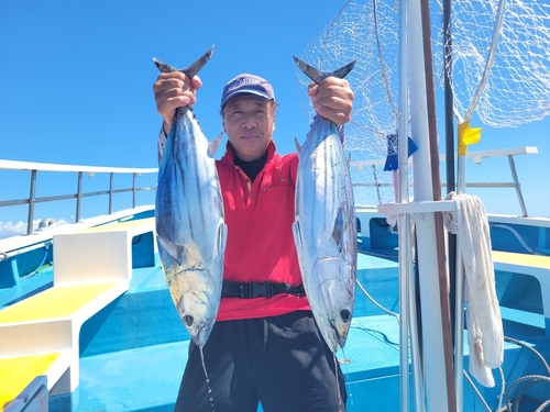 カツオの釣果