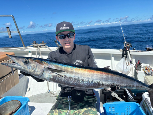 カマスサワラの釣果