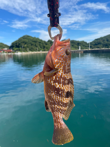 笠浦漁港