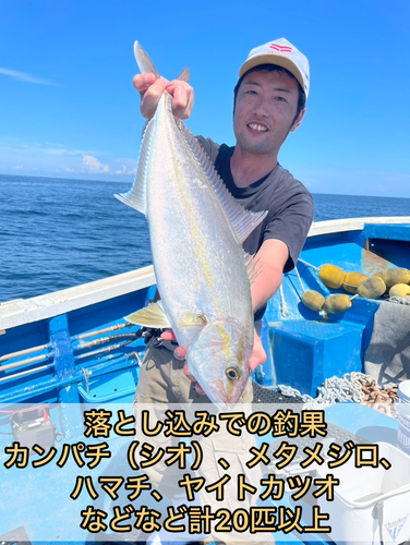 カンパチの釣果