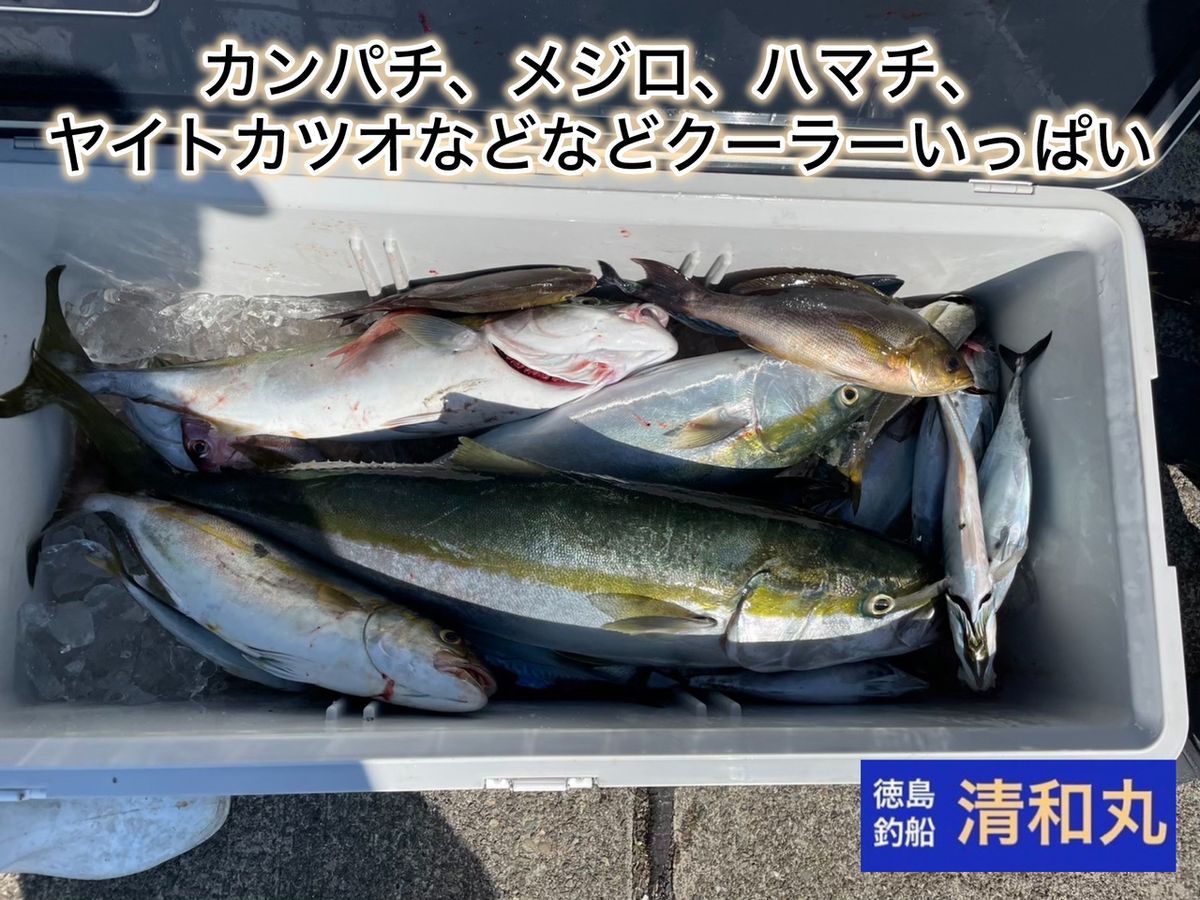 清和丸さんの釣果 3枚目の画像