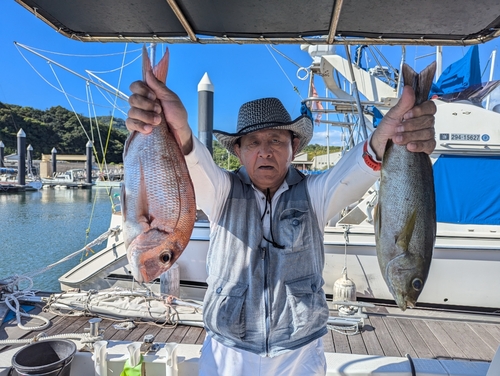 タイの釣果