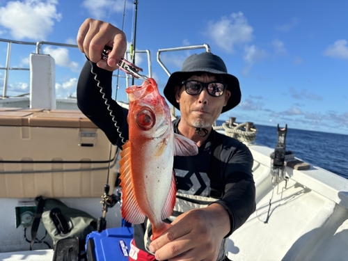 チカメキントキの釣果