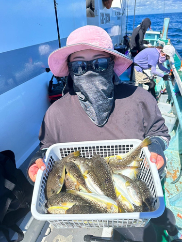 ショウサイフグの釣果