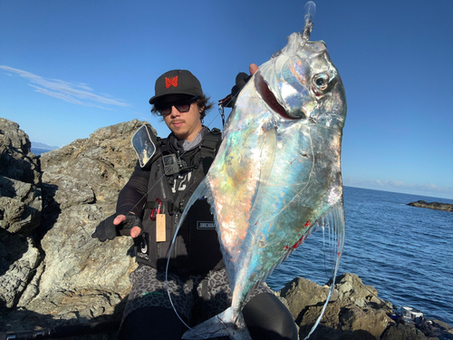 イトヒキアジの釣果